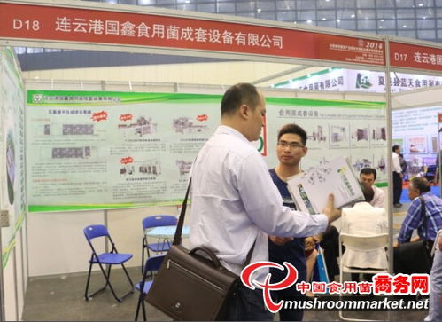 江蘇國鑫食用菌攜四大新品亮相鄭州菌博會，加速布局菌種進出口市場